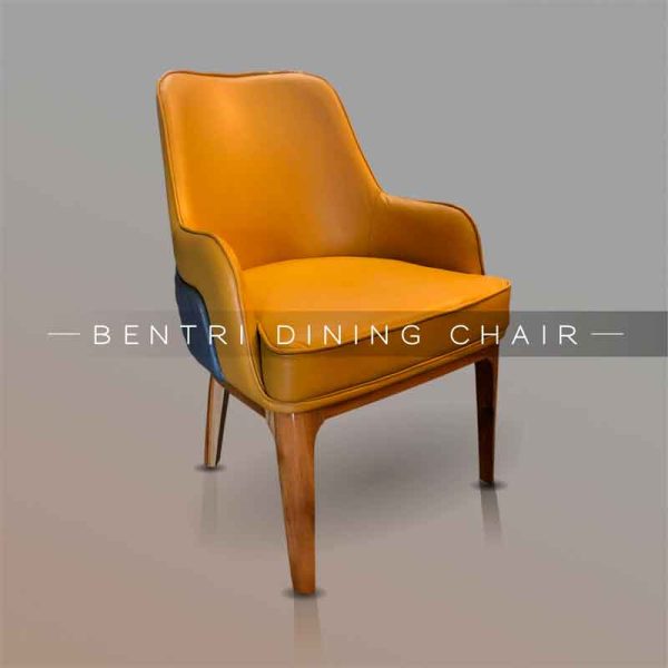 bentri dining chair, Luxury design, Lifestyle, High end furniture, Confort, Exclusiveness, and more, Furnishings Florida, Decor, space design